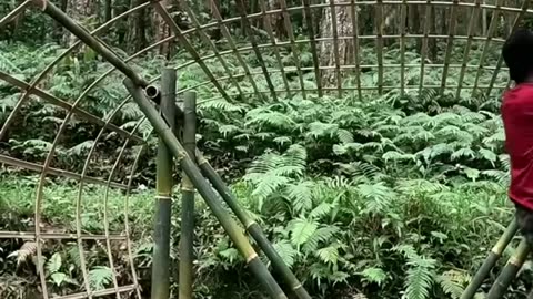 BUILDING A COZY SHELTER FOR A HAMMOCK IN HEAVY RAIN. CAMPING BUSHCRAFT : Part 1