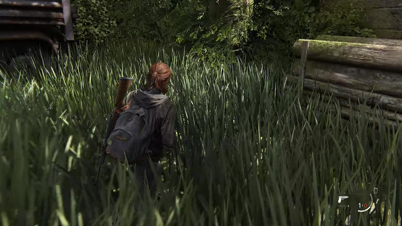 The Last Of Us Part 2 - 6