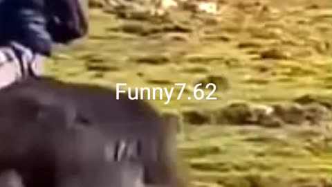 Some Funny Moments