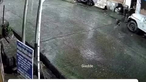 🤯🐈 You'll Never Guess What Happens Next! They All Thought It Was Just a Cat | FunFM