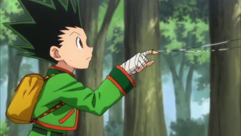 HxH 15