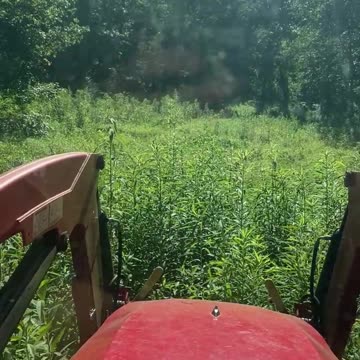 Weed Eating with the Big Lawn Mower