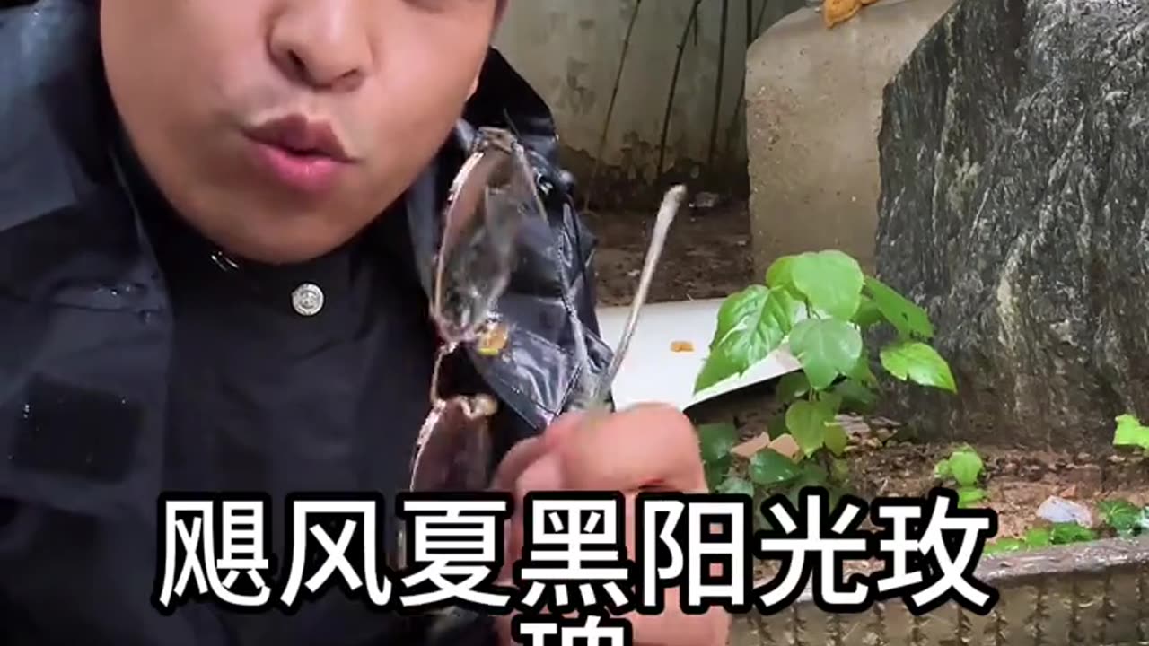 葡萄下树后 先修剪先施肥? 施肥用什么?#果树种植 #果树高产 #葡萄种植 #果树施肥 #果园管理