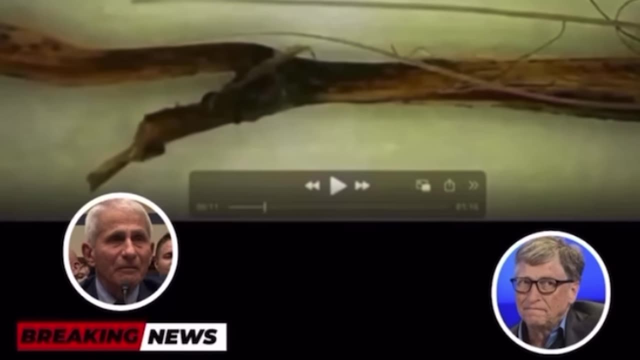 "THEY INFECTED US FROM THE INSIDE" - NANOTECH. PARASITES. RAINWATER. WELCOME TO SILENT WAR.