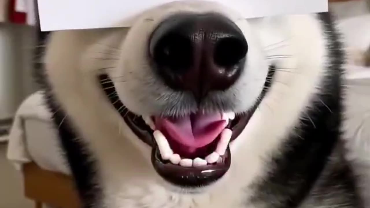 Interesting Soul