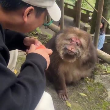 The smile of patience.. 😂