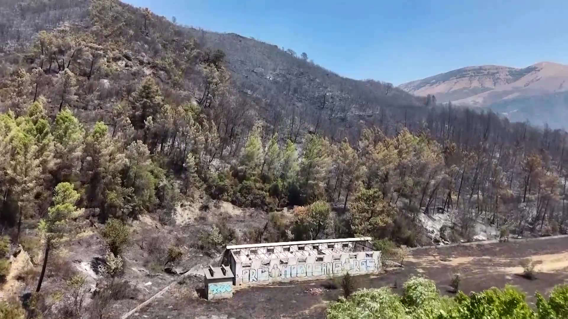 Drone footage shows forest and farmland destroyed by Albania fires