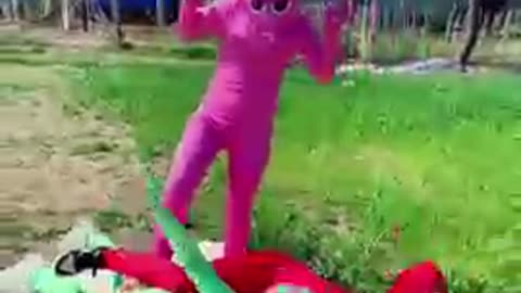 Funny videos