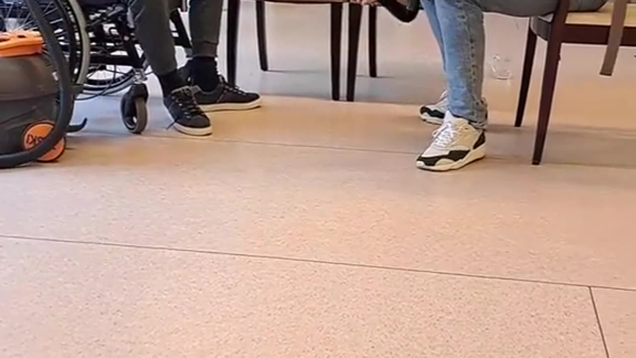 The vacuum cleaner