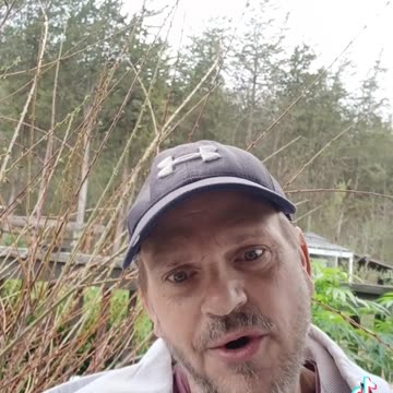 If you got a ticket watch this video first before paying it