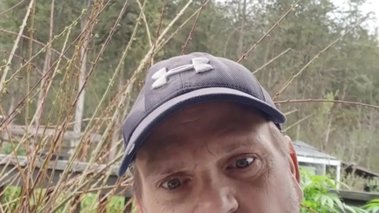 If you got a ticket watch this video first before paying it