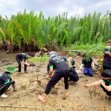 Protect the environment - protect the Earth (Part 4)