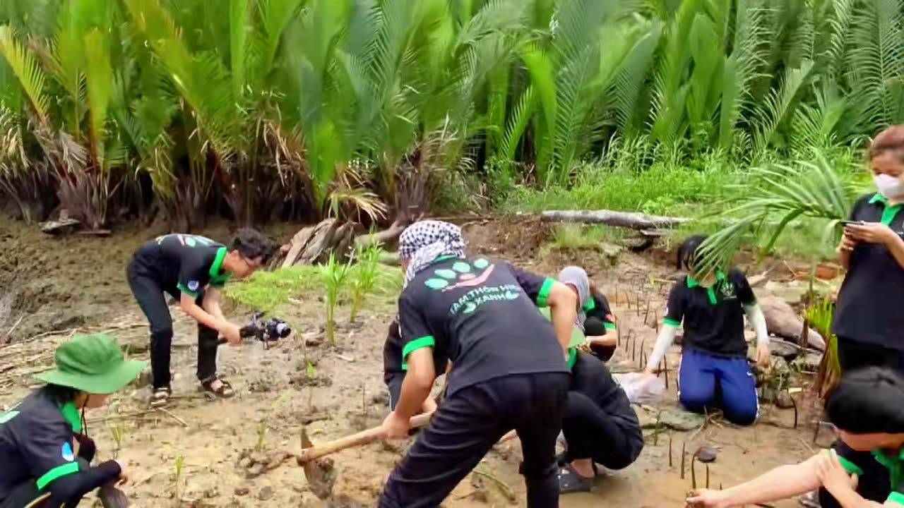 Protect the environment - protect the Earth (Part 4)