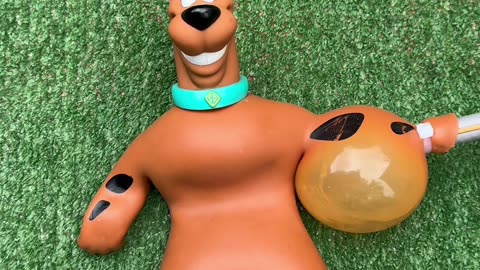 Asmr best video today