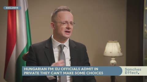 Sanchez Effect | Hungarian FM Sijjatro: 'Under Von der Leyen leadeship EU has become less safe'