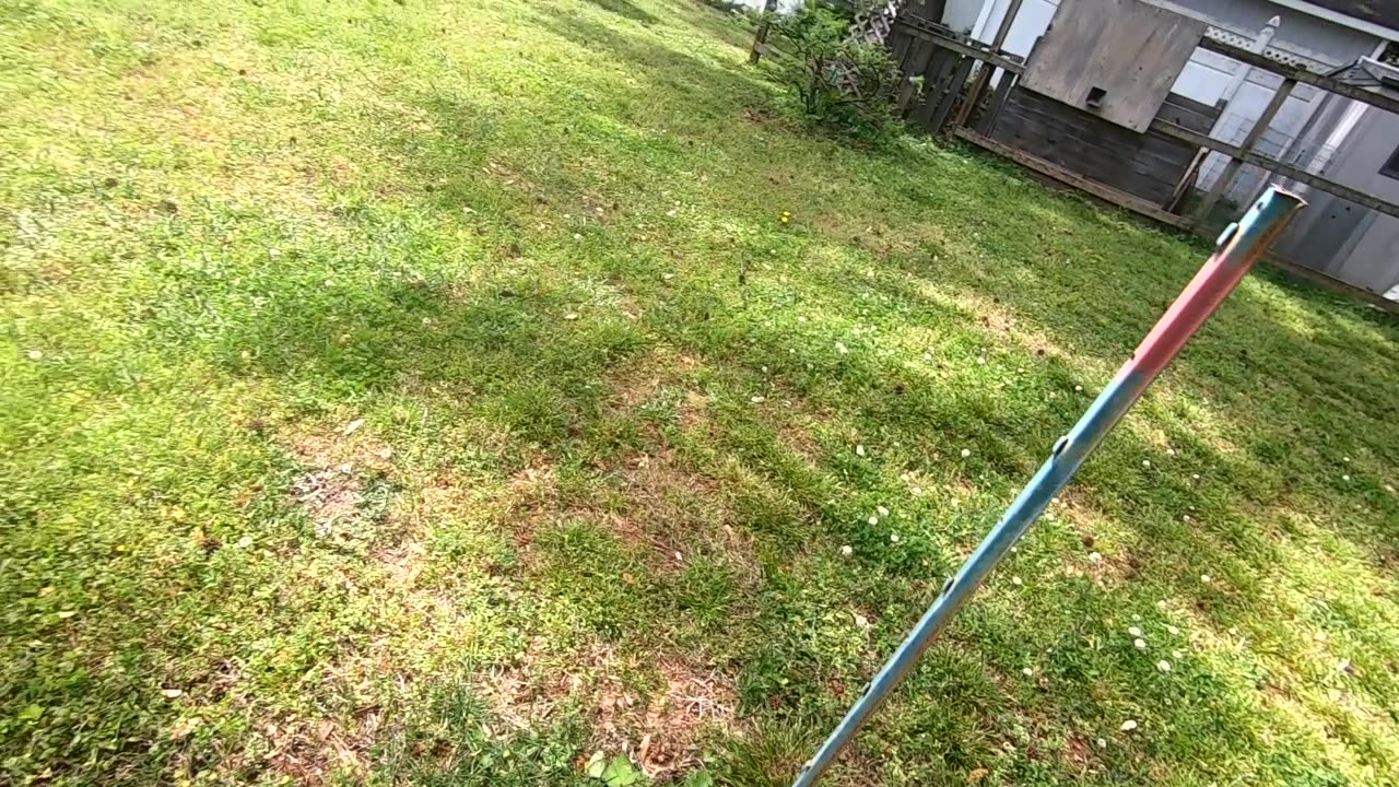 Spring 2025 garden view