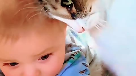 Cat Adopts Human Baby As Her Own! 😻👶 #Shorts #cat #funny #animalslove