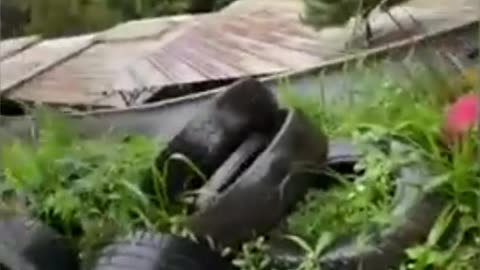 Trash Can Crash! You Won't Believe What Just Happened