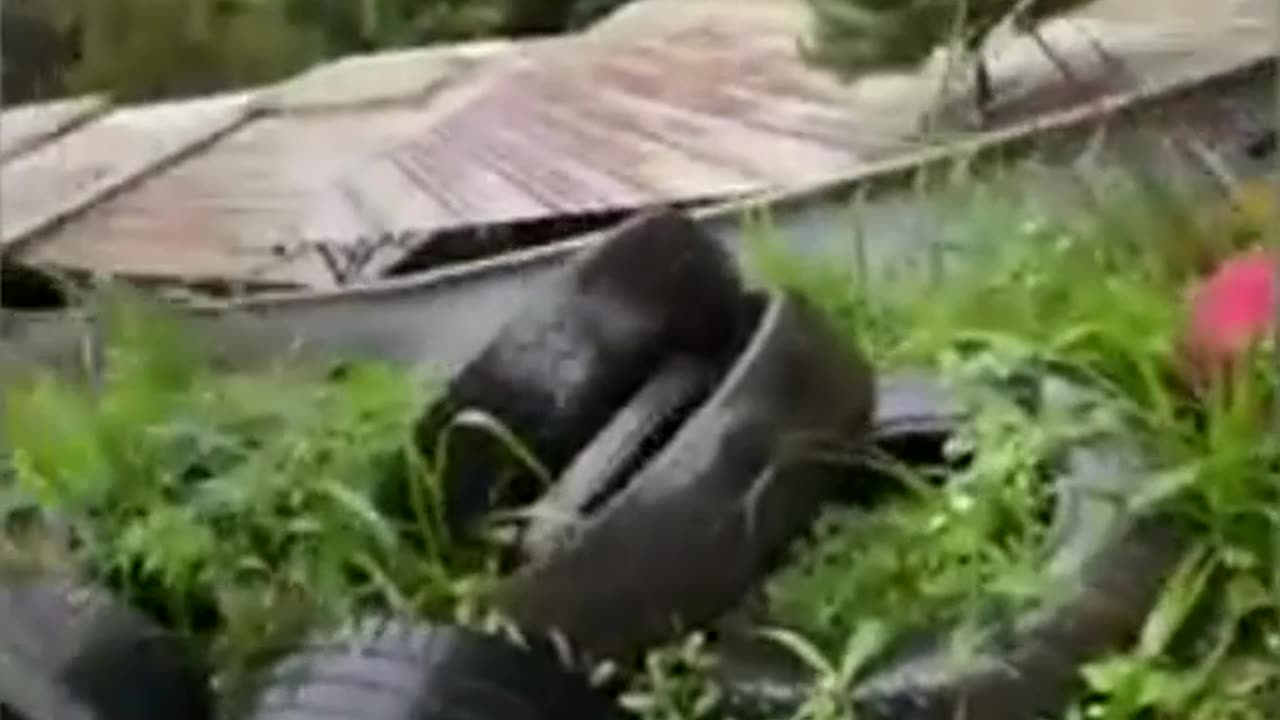 Trash Can Crash! You Won't Believe What Just Happened