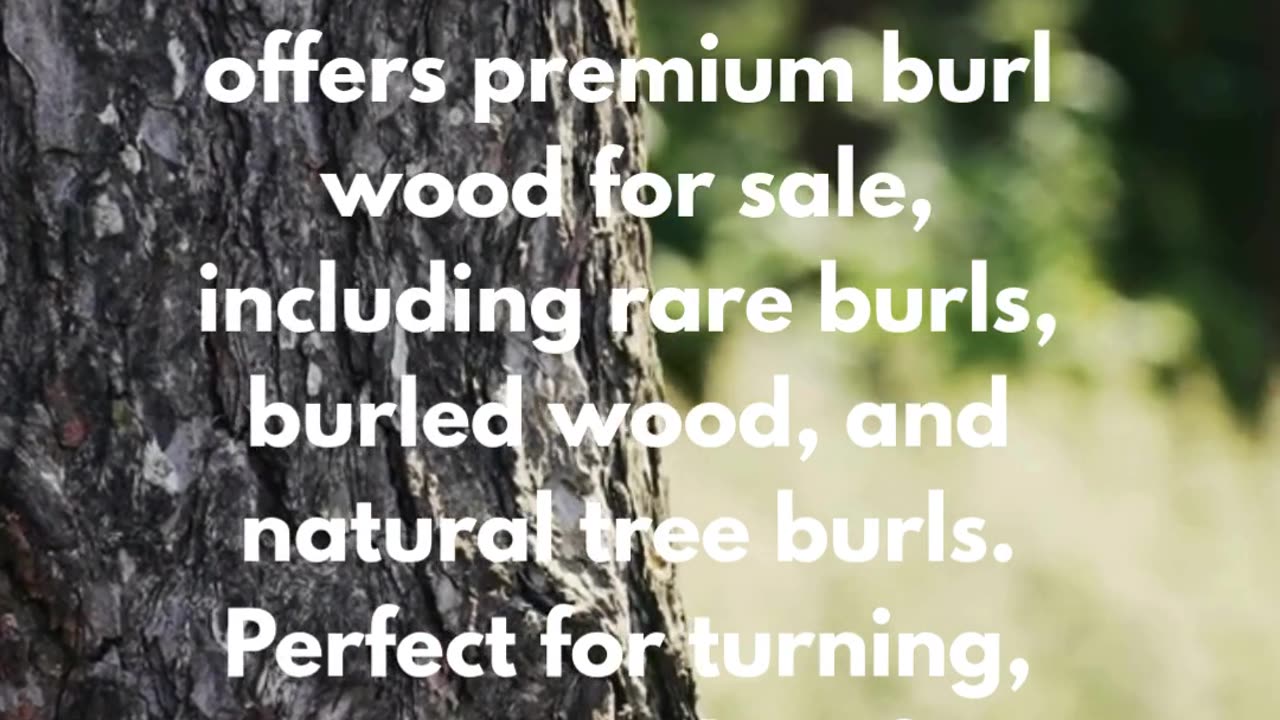 Burls – Nature’s Art in Wood