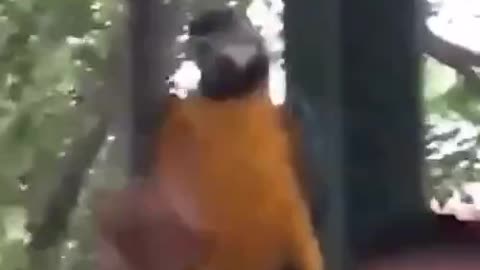 😍😍😘🔥 😍💦 FUNNY Animals and pet's💕😘 😘🔥 💕😘 😍💦 💦