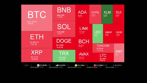 Live Coin Price Watch!