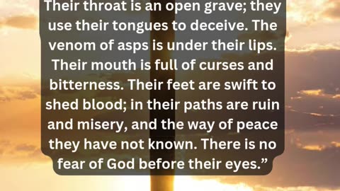 Journey of faith and spiritual growth Romans 3:10-18 Daily Bible Verse