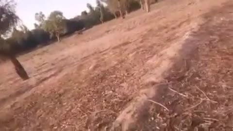 🎯🌵 AQIM Commando Raid | Attack on Enemy Strongholds Near Timbuktu | RCF