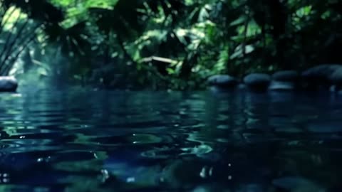 Mountain Stream Sounds for Anxiety & Sleep | 10-Hour Relaxation