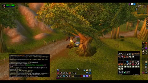 Turtle wow - Melee HC Slow and Steady Hunter - Part 39 - No commentary