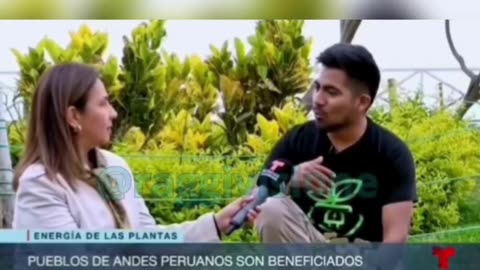 Elettricità dalle PIANTE