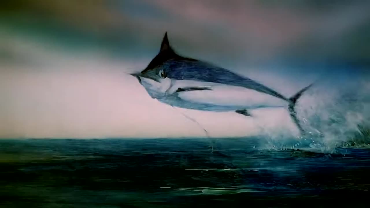 Echoes (cover Pink Floyd)