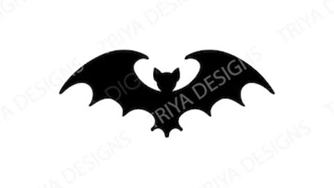 Bat Outta Hell A Love Story