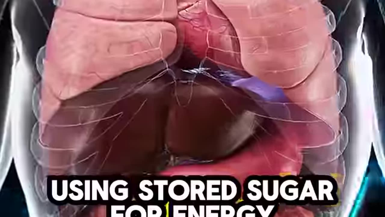 What Happens Inside Your Body When You Don’t Eat for 36 Hours