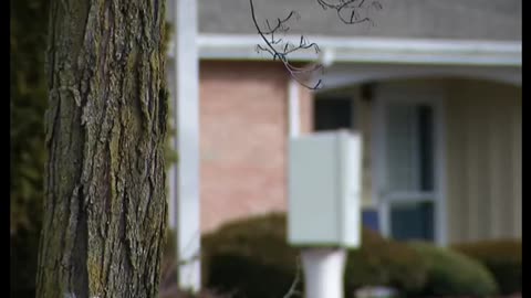 Serial Criminal Sexually Assaults Elderly Woman