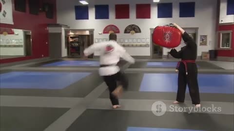 Dojunim Choi Yong-Sool The True Founder Of Hapkido