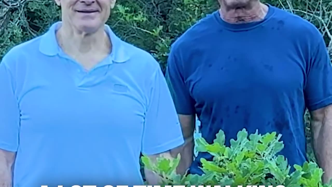 HHS secretary RFK Jr. and dr. Oz on the importance of getting outside
