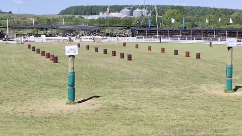 Actividades en el Ruedo Don Homero Formoso - Patria Gaucha 2025 - Tacuarembó, tarde del 19/03