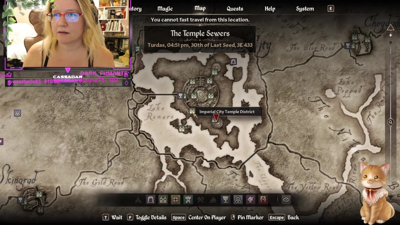 Chicken Live Stream