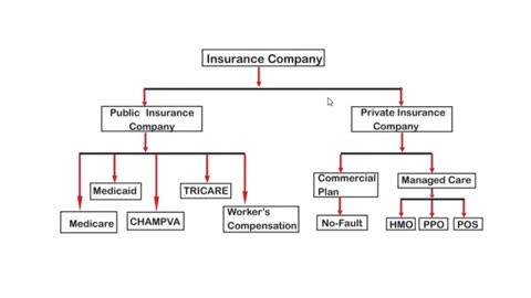 parts of government insurance in us healthcare