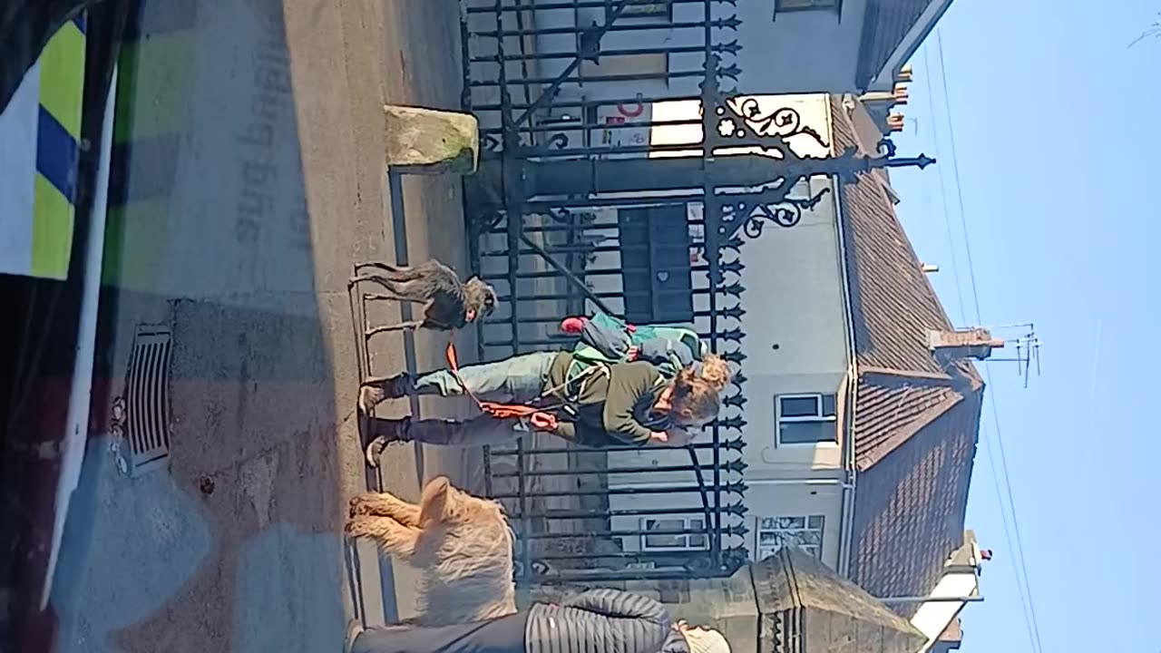 Dog eaters just had a shit on the dead, abused the insane & want to go now