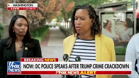DC police chief Pamela Smith does not know what the term “chain of command” means