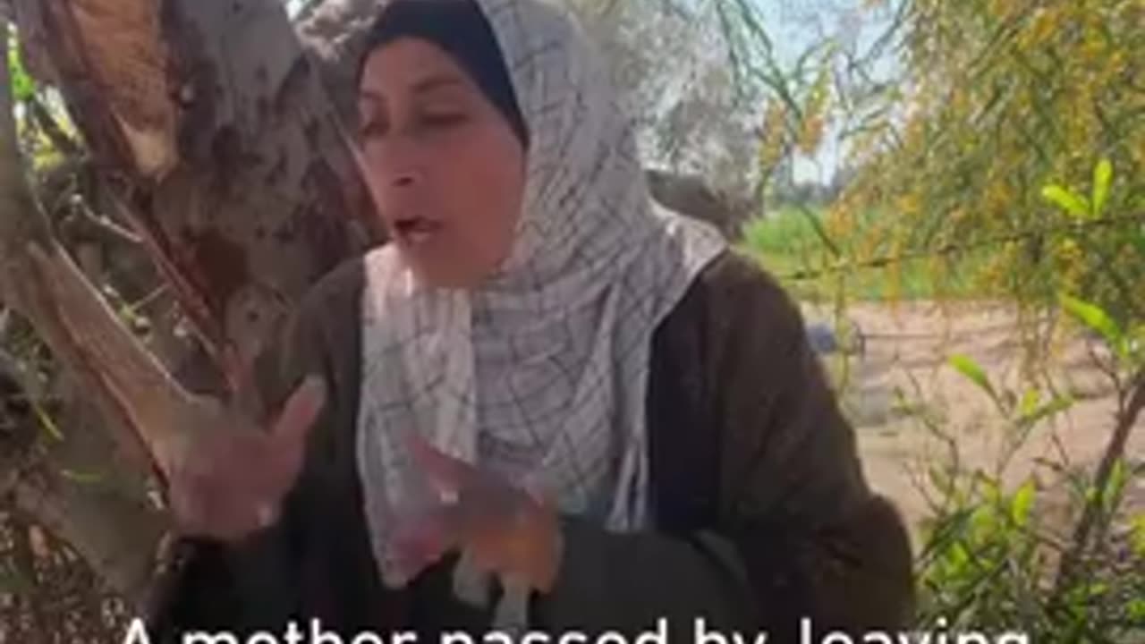 Witness testimonies of Israeli ‘Executions of Palestinians’ at checkpoint in Rafah