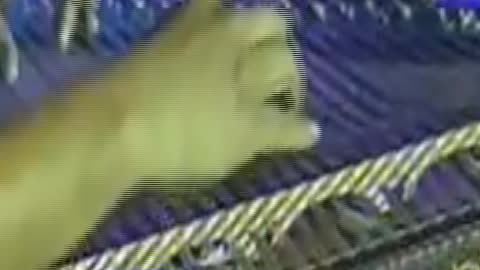 Kütahyanın Pınarları