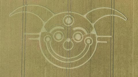 Crop circle....