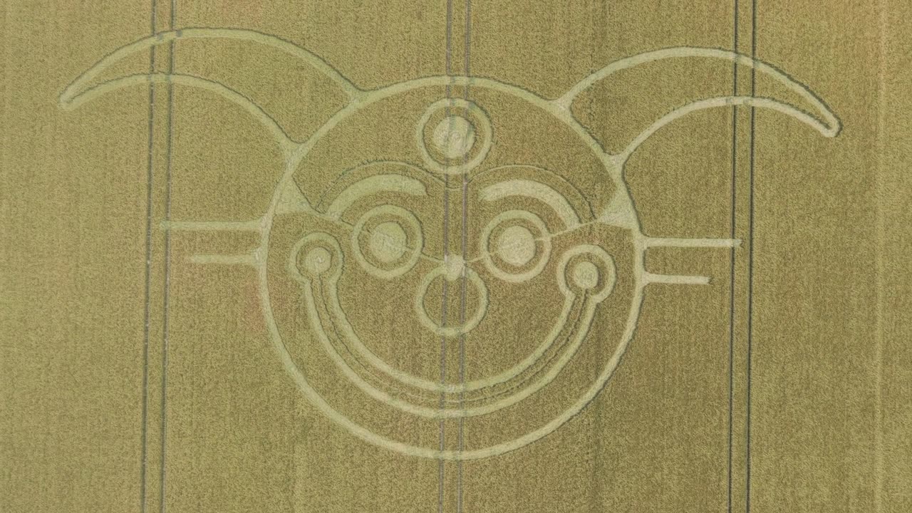 Crop circle....