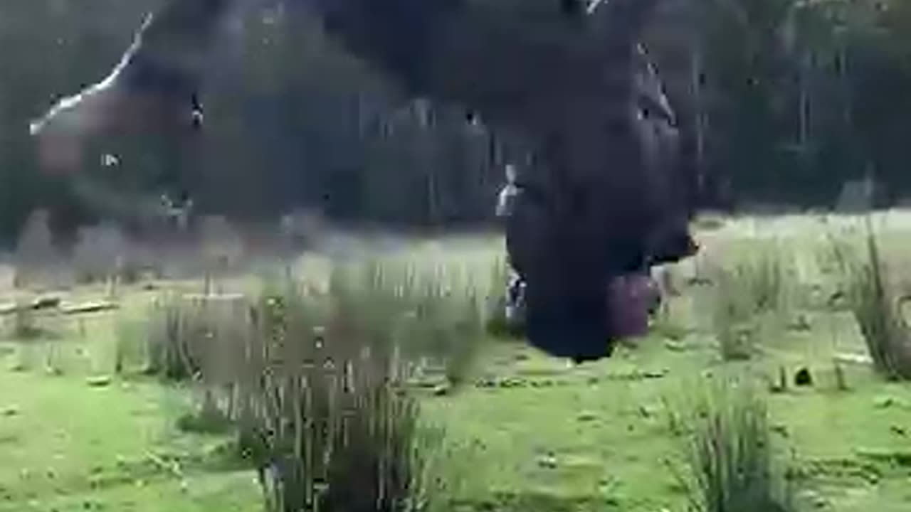 Real Life VS AI