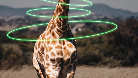 How to create a NEON Light Effect in Photoshop