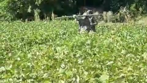 💥🇺🇦 Ukraine Russia War | 225th Assault Regiment Engages in Sumy Region | RCF