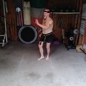 Orange Tiger Form Breakdown #2 #martialarts